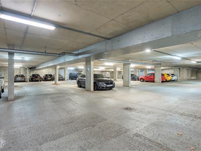 Picture 20